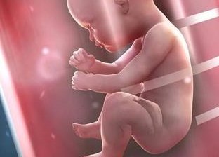 2026绵阳妇幼保健院试管费用公布，顺产+住院5000元左右