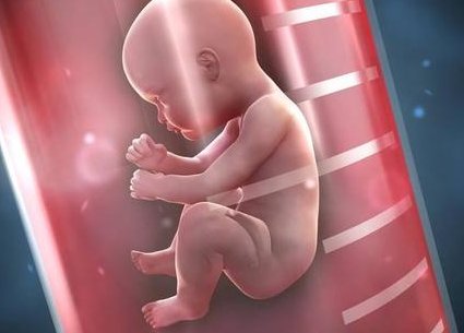 不孕不育夫妻到俄罗斯哪里做试管婴儿生双胎的成功率高？