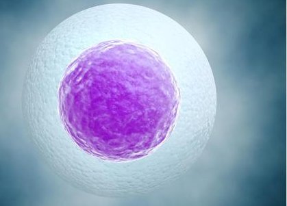 做试管促排出现空卵泡怎么办？中药调理、饮食调理都是解决方案