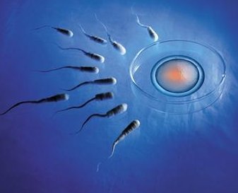 郑州三附院做三代试管婴儿怎么样？有什么优势？