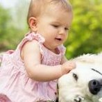 胚胎移植前，身体满足哪些条件后的成功率会更高？