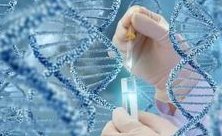 泰国三代试管有哪些优势？准确吗？