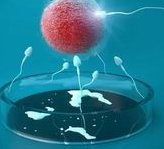 死精率80%的男性可以在铜仁市做三代试管吗？公开2026做三代试管条件