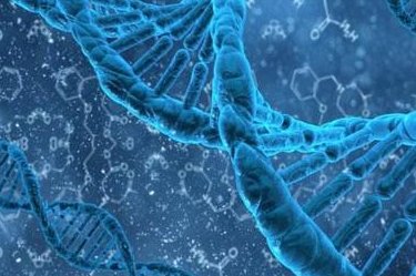 盆腔积液多少不能移植胚胎？48mm可以试管移植鲜胚吗？