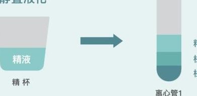 2026沈阳三代试管成功率高医院推荐 两个准备提高试管成功率