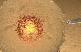 马鞍山妇幼试管婴儿成功率？试管技术最关键的是什么？