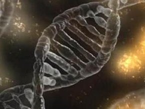 一代试管精子优化处理的好吗？